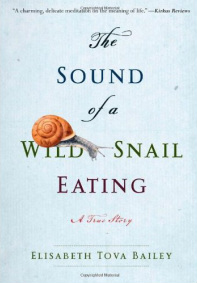 sound of a wild snail eating